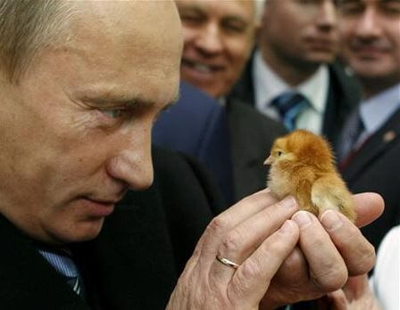 プーチンは動物好き 秋田犬の名前は ゆめ 手なずけられた動物まとめ ココアのマーチ