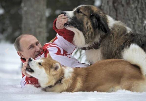 プーチンの愛犬ゆめ